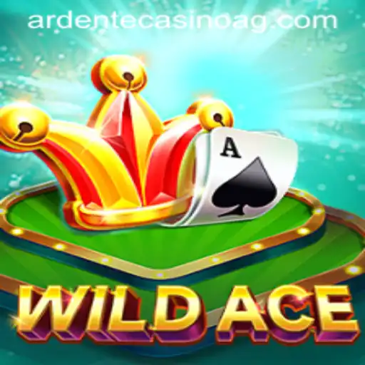 Exploring the World of WildAce: Gaming Innovation Meets br555.bet